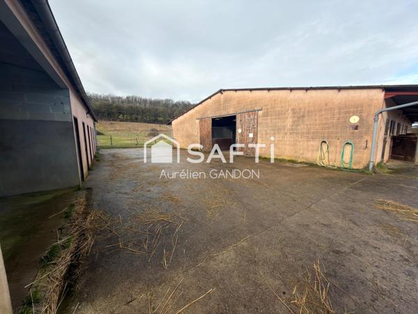 Maison avec 25HA de terrain et 40 box à chevaux