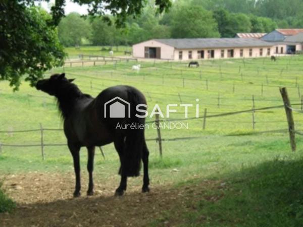 Maison avec 25HA de terrain et 40 box à chevaux
