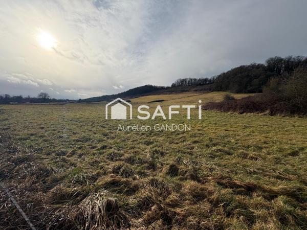 Maison avec 25HA de terrain et 40 box à chevaux