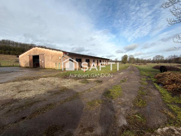 Maison avec 25HA de terrain et 40 box à chevaux