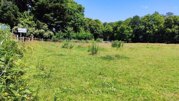 Terrain à Batir à vendre à Bieuzy dans le Morbihan (56310), ref : 065/1797   
Campagne