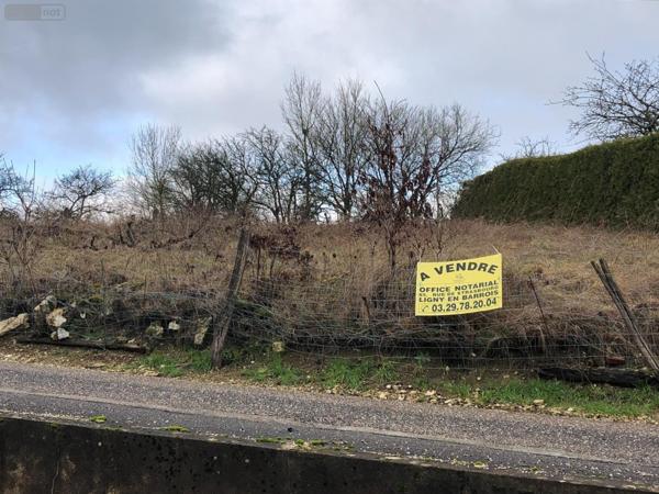 Terrain à Batir à vendre à Silmont dans la Meuse (55000), ref : 844