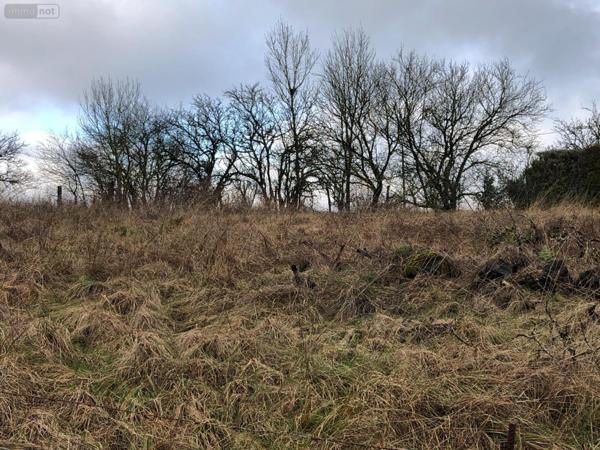 Terrain à Batir à vendre à Silmont dans la Meuse (55000), ref : 844