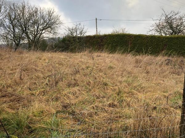 Terrain à Batir à vendre à Silmont dans la Meuse (55000), ref : 844