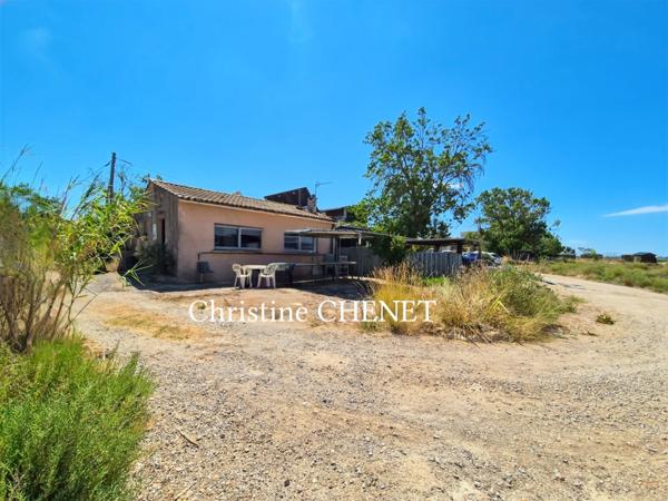 Mazet - Cabane de chasseur