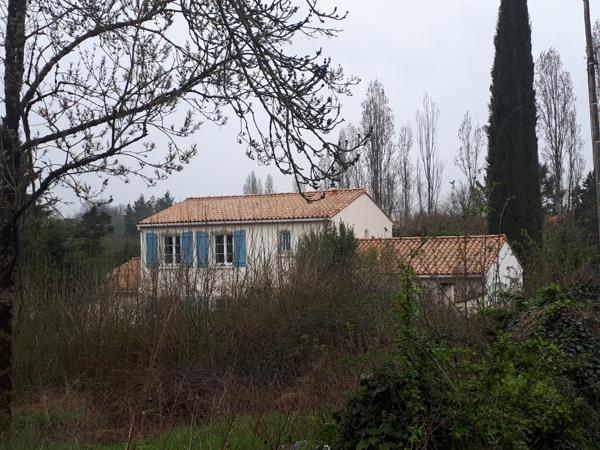 Superbe maison d’architecte avec jardin arboré et piscine