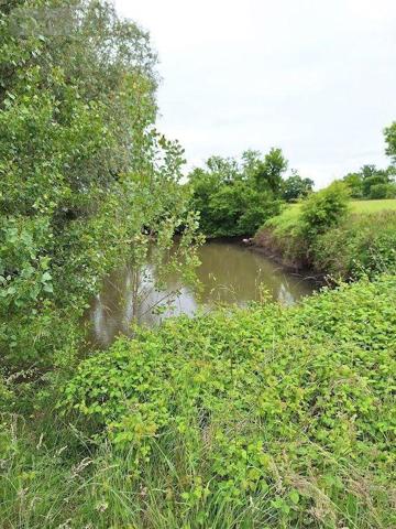 Maison à vendre à La Porte-du-Der en Haute-Marne (52220), ref : JO/1000