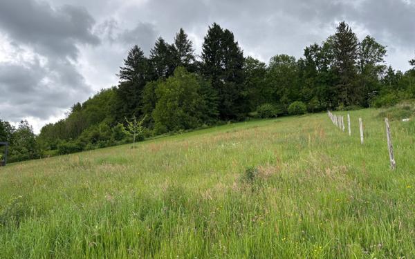 Terrain à vendre