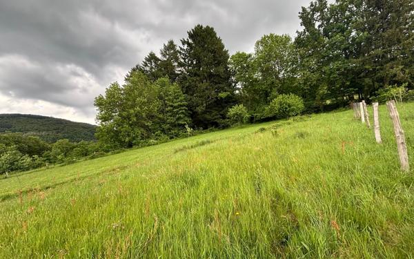 Terrain à vendre