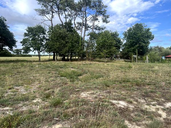 Maison moderne à vendre au Fenouiller - 3 chambres et jardin spacieux !