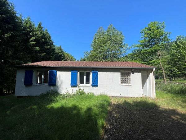 Vente                                                      Maison
                        
                     7 pièces                      105 m2                     à Schirmeck