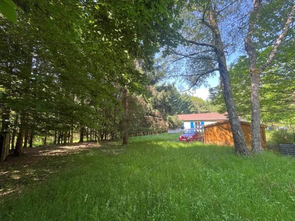 Vente                                                      Maison
                        
                     7 pièces                      105 m2                     à Schirmeck