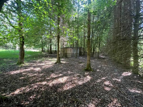 Vente                                                      Maison
                        
                     7 pièces                      105 m2                     à Schirmeck