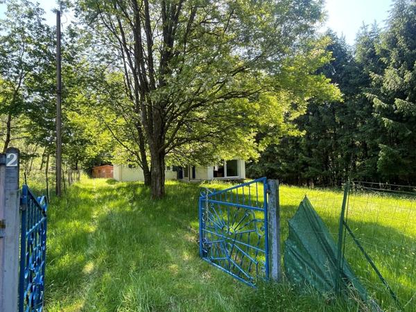 Vente                                                      Maison
                        
                     7 pièces                      105 m2                     à Schirmeck