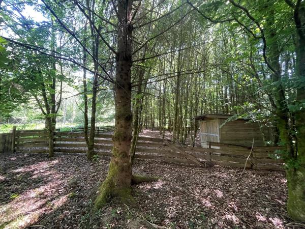 Vente                                                      Maison
                        
                     7 pièces                      105 m2                     à Schirmeck