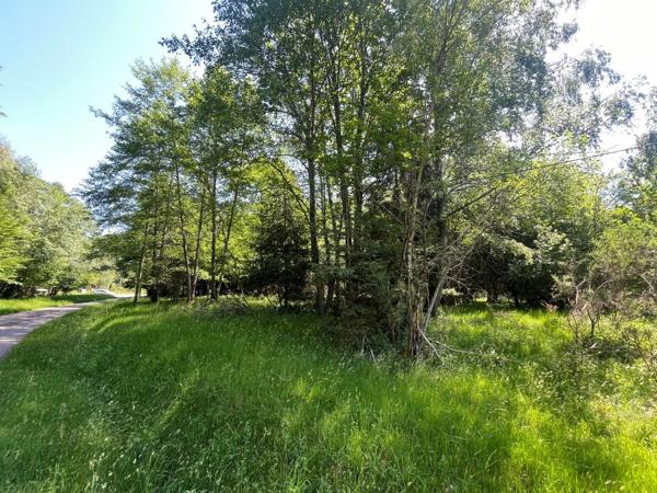 Vente                                                      Maison
                        
                     7 pièces                      105 m2                     à Schirmeck