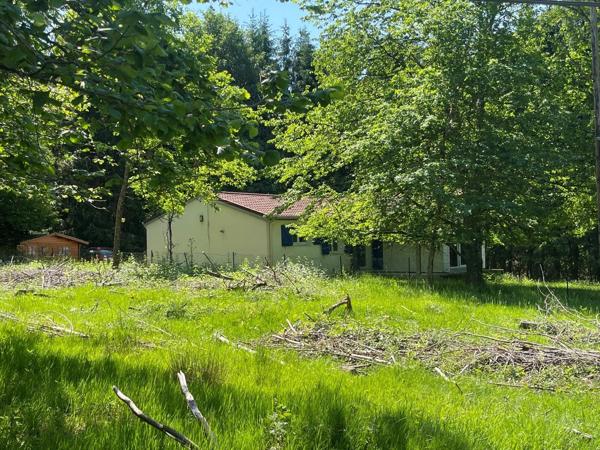 Vente                                                      Maison
                        
                     7 pièces                      105 m2                     à Schirmeck