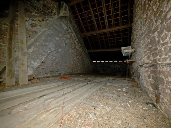 Maison à vendre 71 m² habitables, jusqu’à 180 m² exploitables COURBOUZON (39)