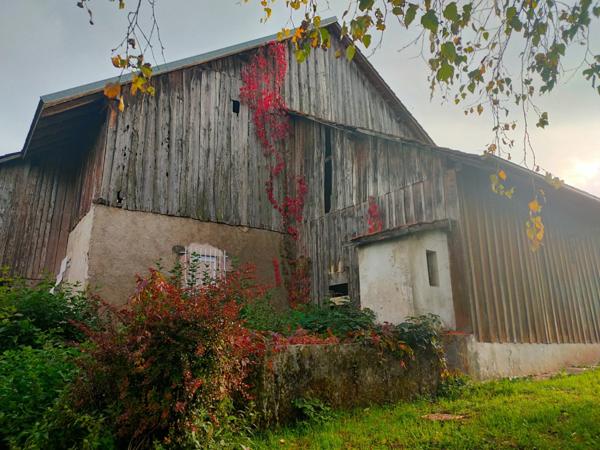 Dpt Haute Savoie (74), à vendre PEILLONNEX maison P3 - Terrain de 1 400,00 m², proche Genève, 2 chambres, ferme renovée, ferme à renovée,