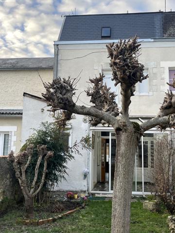 Thouars (79100) ref 99490 A Saisir ! THOUARS Centre proche commerces, belle maison de 1900 de 115 m2 avec jardin