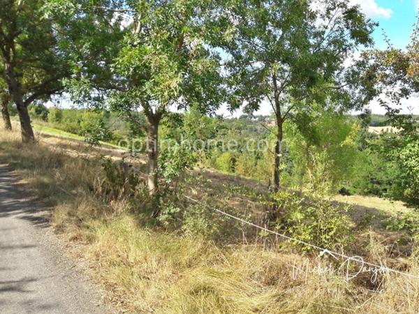 BAZIEGE - Terrain de 7 341 m² dont 5 115 m² de constructible – 215000 €