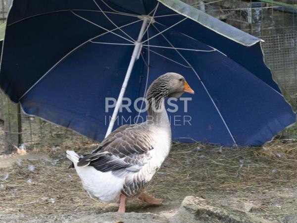 En exclusivité Magnifique propriété dans un cadre exceptionnel, à 10 minutes d'une gare TGV.