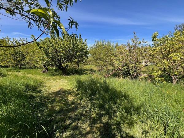 Maison à vendre à Saint-Martin-de-la-Place dans le Maine-et-Loire (49160), ref : 49107-1146