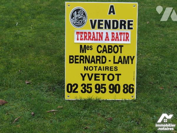 A 10 mn au Sud d'YVETOT terrain à bâtir non viabilisé, divisible, d'environ 7810 m² raccordable TAE
