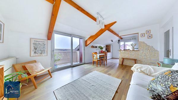 Appartement T3 Dernier étage Vue Mont-Blanc Gex 01170