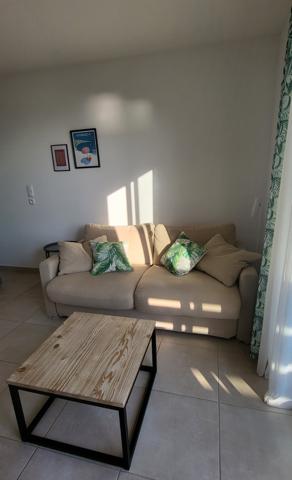 VUE MER APPARTEMENT T3 BRAVONE LINGUIZZETTA