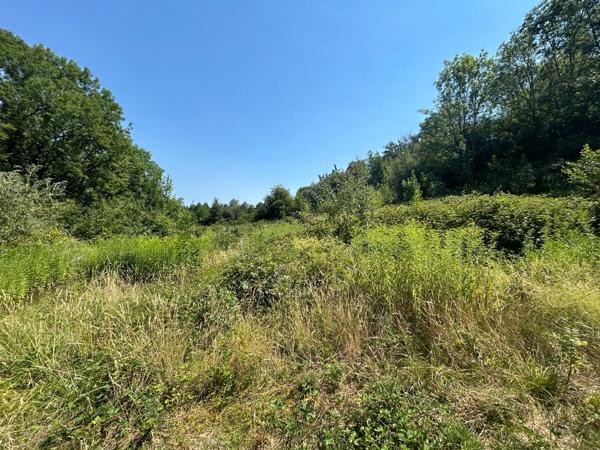 Terrain agricole