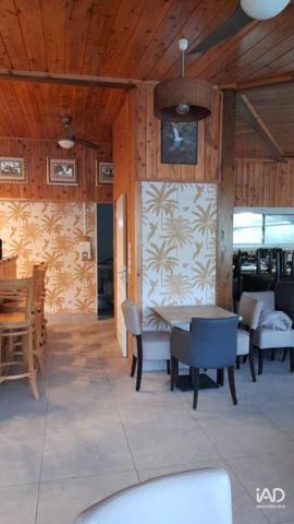 Murs commerciaux  à vendre 344 m² L'Étang-Salé