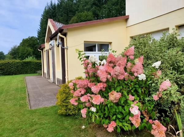 PROPRIETE vendre 20 pièces proche de REMIREMONT (88) sur 2,4 ha avec ETANG, SOURCE