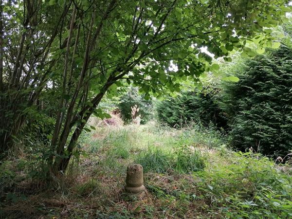 Charmante longère en pierre à rénover