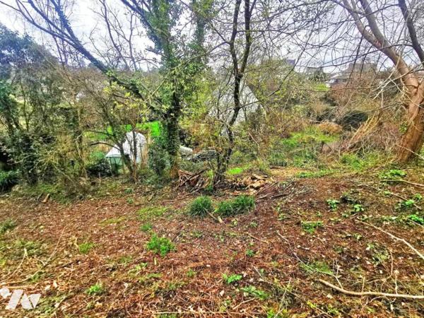 Terrain de 2536 m² situé en zone UC