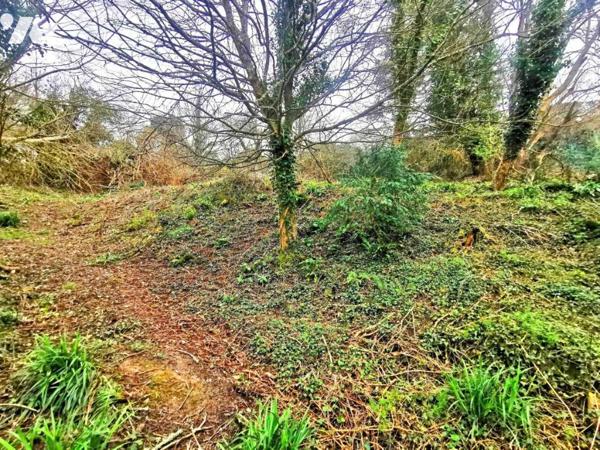 Terrain de 2536 m² situé en zone UC