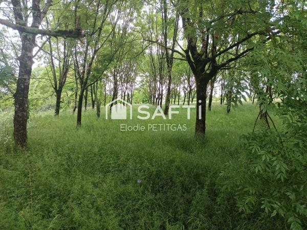 Terrain Constructible 7000m2