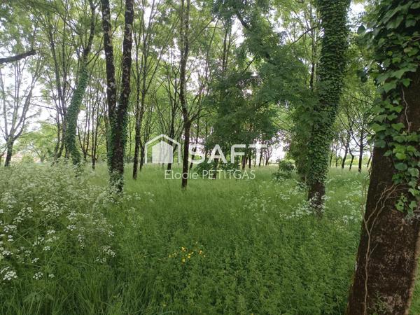 Terrain Constructible 7000m2