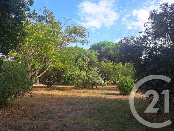 Terrain à vendre  815 m 2   ST GEORGES D OLERON  - 17