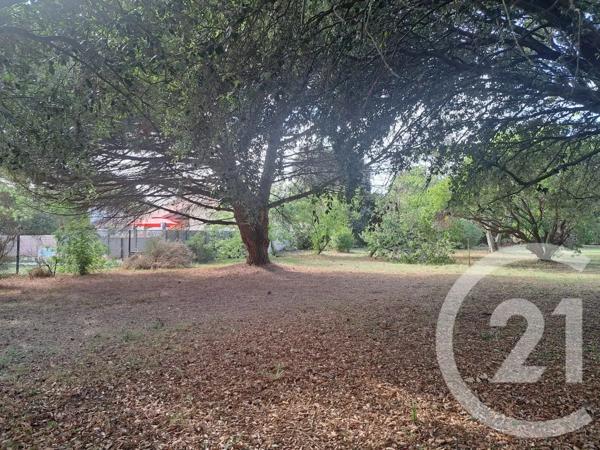 Terrain à vendre  815 m 2   ST GEORGES D OLERON  - 17