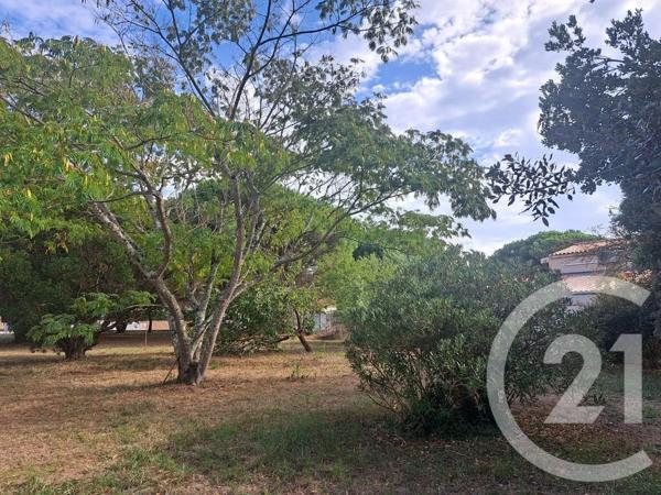 Terrain à vendre  815 m 2   ST GEORGES D OLERON  - 17