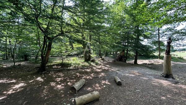 Magnifique Maison Coup de Coeur, Lumineuse !