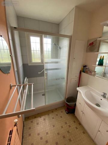 Maison à vendre à Saint-Genou dans l'Indre (36500), ref : 1048220