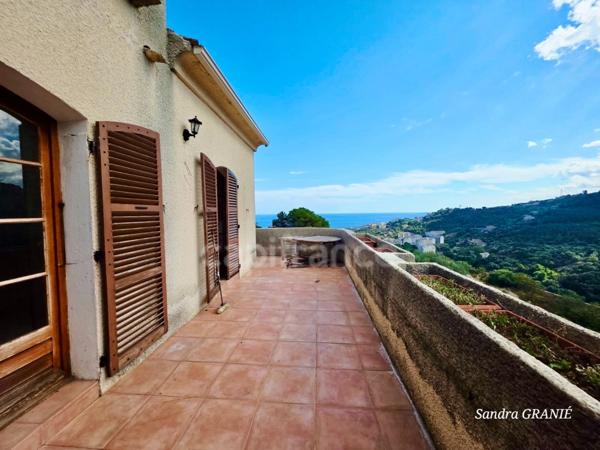 Maison à vendre 10 pièces VILLE DI PIETRABUGNO (20)