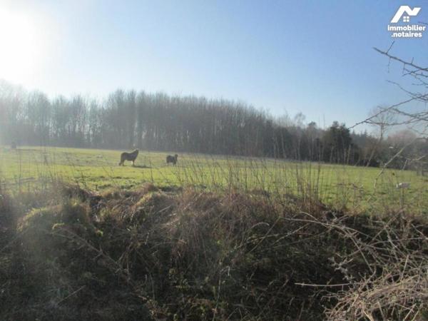 Vente Terrain à bâtir à Caumont
