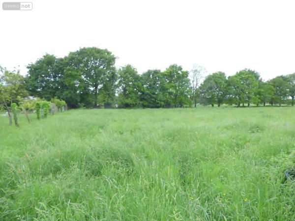 Terrain à Batir à vendre à Guipry-Messac en Ille-et-Vilaine (35480), ref : 136/5131
