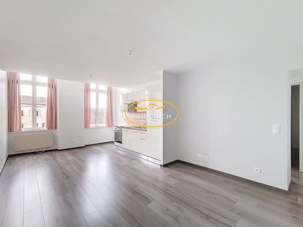 Appartement type F2 rénové en centre-ville Ligny-en-barrois