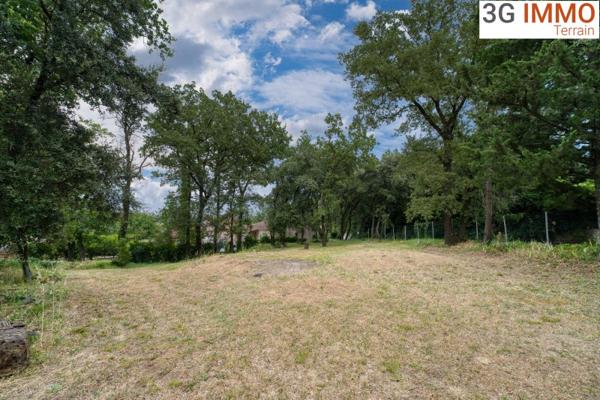Vente / Terrain constructible