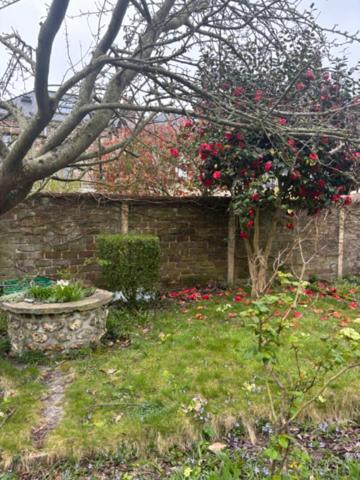 Maison Le Havre 2 pièce(s) 35 m2