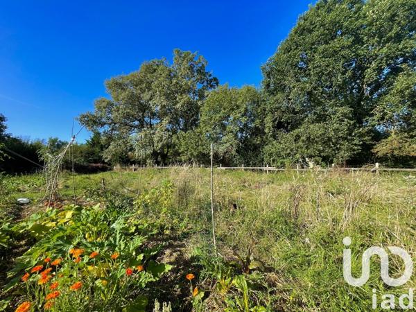 Maison à vendre 10 pièces 342 m² Falleron